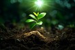 Environmentally-friendly, sustainable, nature-focused image featuring a green light and tree on soil, promoting eco-consciousness. Generative AI