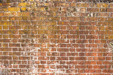 Wall Mural - Brick wall made of old red brick. Old, vintage brick wall. Background for designers.