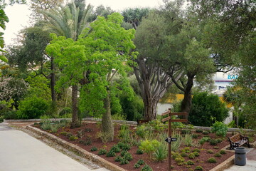 Gibraltar Botanic Gardens 2023