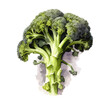 Broccoli Ernährung Gesund Vektor