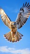 A majestic bird soaring through a clear blue sky