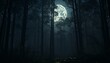 A mysterious forest illuminated by the light of a full moon