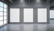© Irene - Clean concrete gallery interior with mock up place on walls and white windows. Museum room concept. D Rendering.