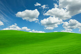 Fototapeta Przestrzenne - Lush green grass under bright blue sky with fluffy clouds