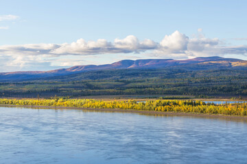 Sticker - Autumn river