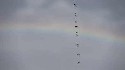 Wall Mural - Rainbow in the sky over the tree, rainforest, Thailand