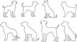 set of line Dog Silhouettes. No open shape or path. Dogs breeds, veterinary, dog standing, pet sitting logo inspiration. Dog show, competition, pet store, guide dog isolated on transparent background.