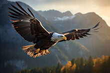 Image Of An Eagle Flight In Mid Air