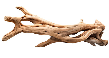 Wall Mural - driftwood isolated on transparent background