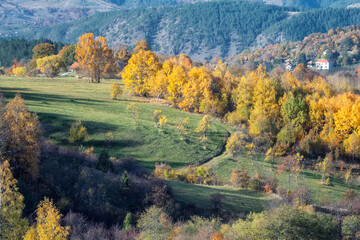 Wall Mural - colorful view of an autumn mountain with peaks, meadows and colorful forests of dinaric alps, near z