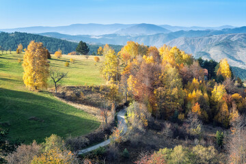 Wall Mural - Colorful view of an autumn mountain with peaks, meadows and colorful forests of Dinaric Alps, near Zlatibor, Serbia