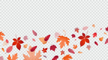 Autumn Foliage On Transparent Background. Vector Design Elements.