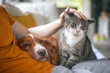 Man sitting on sofa with domestic animals. Pet owner stroking his old cat and dog together..
