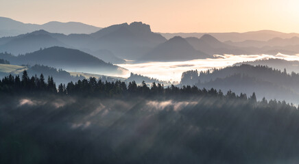 Wall Mural - beautiful sunrise in the picturesque mountains. picturesque mists rolling in the valleys illuminated