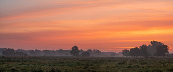 Wall Mural - A beautiful, colourful morning over a farm.Pastures with grasses and trees