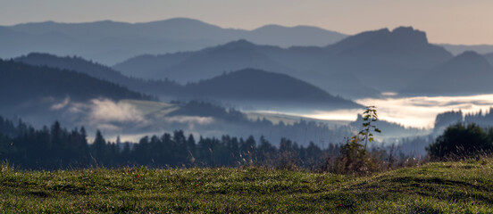 Wall Mural - beautiful sunrise in the picturesque mountains. picturesque mists rolling in the valleys illuminated