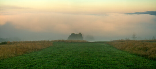 Wall Mural - misty sunrise over a mountain meadow.