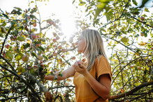 Blond Woman Standing Near Apple Tree In Orchard On Sunny Day