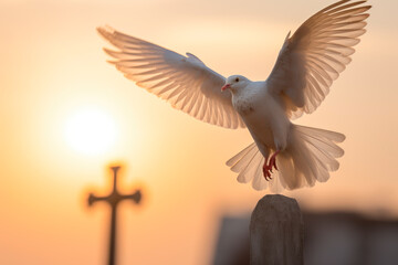 Wall Mural - White dove flying next to a cross with sun rays