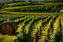 A Picturesque Vineyard Landscape With Grapevines And Wine Barrels During A Wine Festival.