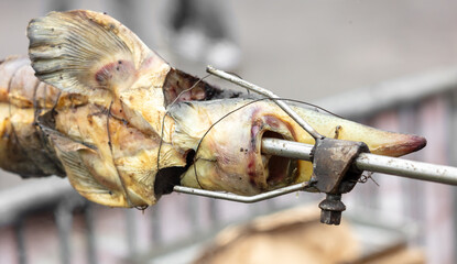 Sticker - Sturgeon fish is fried on a charcoal grill