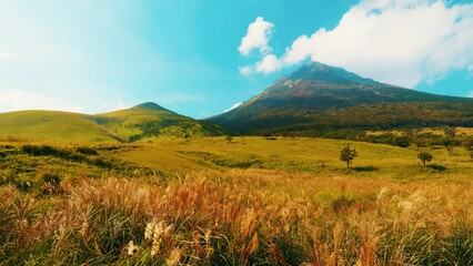 Wall Mural - Dramatic view of high mountains and green field swaying in wind in the blue sky, Mt.Yufu in Oita Prefecture in Japan