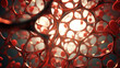 Intricate 3D Model Revealing the World of Human Red Blood Cells