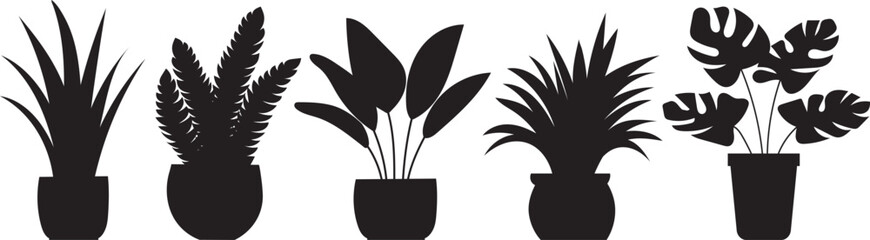 Wall Mural - set of plants in flowerpots silhouettes, on a white background, vector
