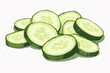 pieces of Cucumber vector flat minimalistic isolated vector style illustration