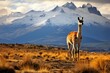 A guanaco in the prairie of Chilean Patagonia. Generative AI