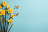 Fototapeta Do akwarium - Minimal light blue spring background with daffodils