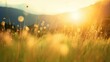 Beautiful sunrise in the mountain Meadow landscape refreshment with sunray and golden bokeh 