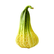 Gourd Isolated On Transparent Background
