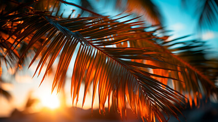 Wall Mural - palm leaves at sunset in hawaii