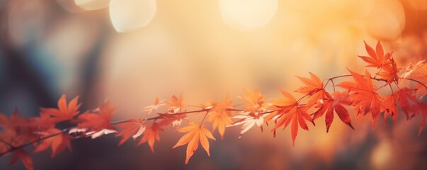 Wall Mural - blurry autumn leaf nature background