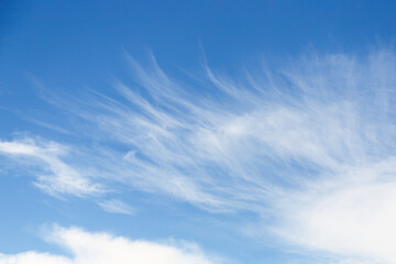 Wall Mural - Cirrocumulus clouds in the blue sky background, sky only