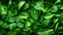 Spinach Leaves Background. Generative AI.