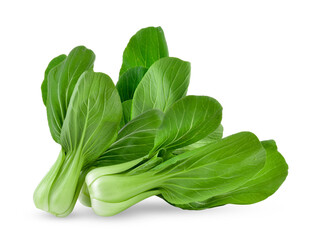 Wall Mural - Bok choy vegetable on transparent png