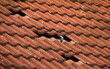 the roof of a family house with red tiles,