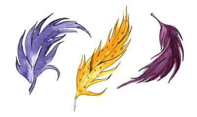  French traditional Mardi Gras symbols. A set of three bright feathers in purple and yellow tones. Drawn in watercolor on a white background for your design