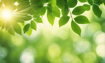 Aufkleber - Abstract green foliage bokeh backdrop