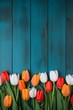 © Milosc - Beautiful composition of red, white and orange tulips on turquoise blue background with copy space in flat lay style. Valentine's Day, Easter, Birthday, Happy Women's Day, Mother's.