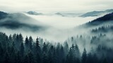 Fototapeta Niebo - A dense fog enveloping a pine forest, creating an ethereal atmosphere.