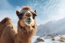 Portrait Of Camel In Winter Landscape. AI Generative Art