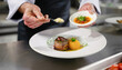 © Florence - master chef cook man hands precisely cooking dressing preparing tasty fresh delicious mouthwatering gourmet dish food on plate to customers star michelin restaurant kitchen close up detailed artwork