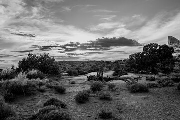 Poster - SunSet at Canyonlands national park in Utah; the warm golden light illuminates the rock formations. 