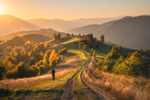 Carpathian Mountain Valley With Beautiful Hills In Haze, Man, Orange Trees At Sunset In Autumn In Ukraine. Colorful Landscape With Dirt Road, Meadows, Forest, Grass, Golden Sunlight In Fall. Nature