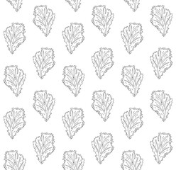 Wall Mural - Vector seamless pattern of hand drawn doodle sketch salad leaf isolated on white background