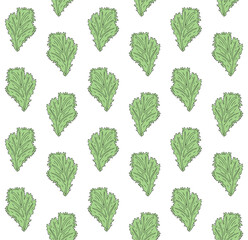 Wall Mural - Vector seamless pattern of hand drawn doodle sketch green salad leaf isolated on white background