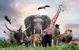 Fototapeta Zwierzęta - group of wildlife animals in the jungle together
